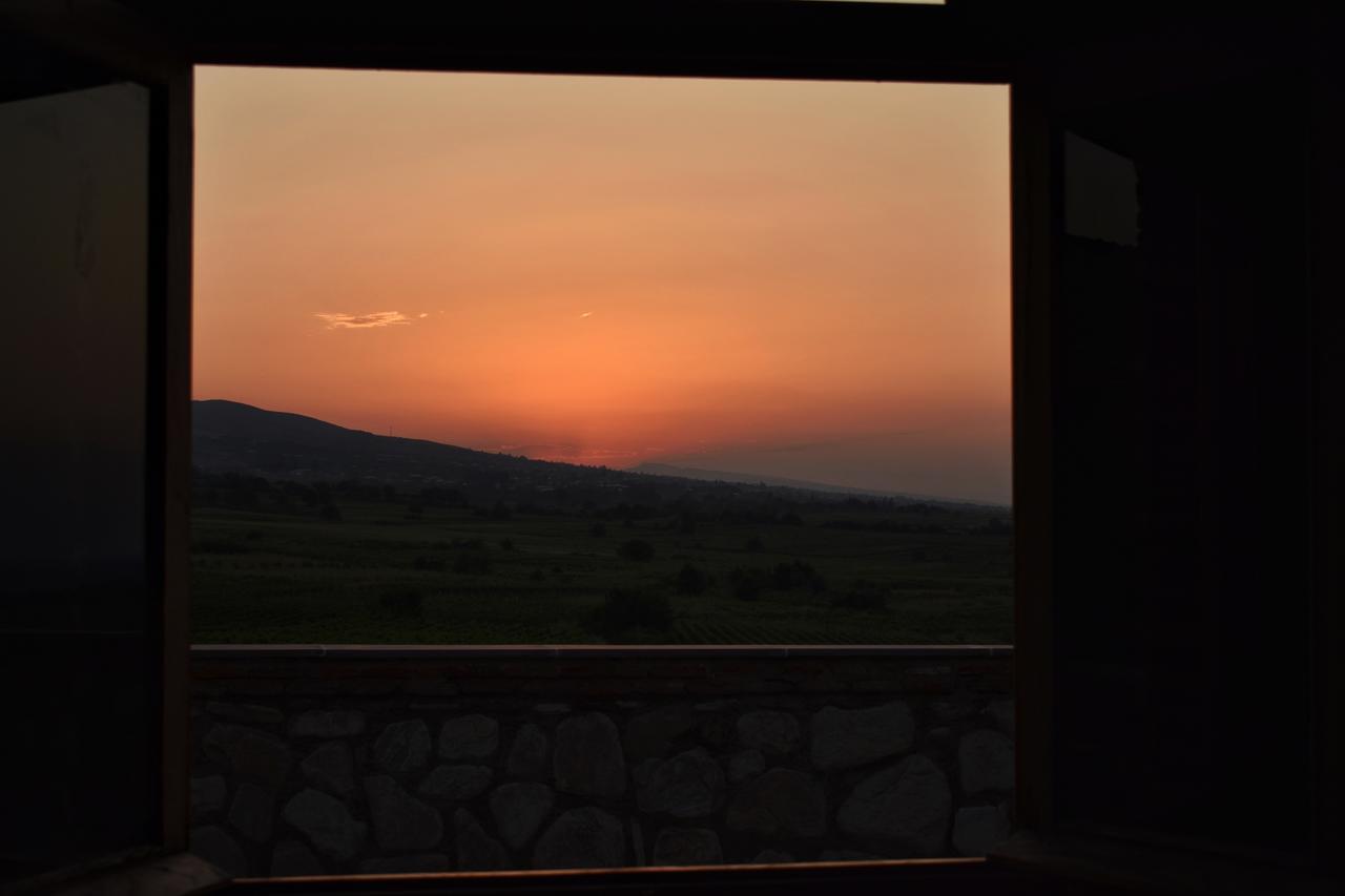 Villa Elizbar Talakvadze Winery Kardanakhi Exterior foto